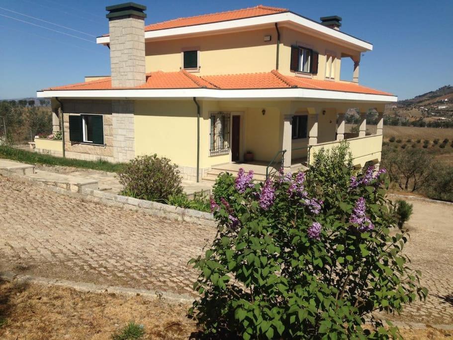 Casa Dos Copins Villa Lamego Ngoại thất bức ảnh