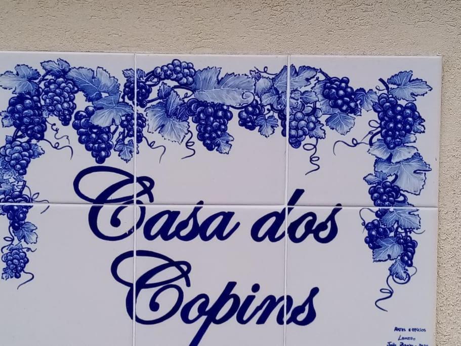 Casa Dos Copins Villa Lamego Ngoại thất bức ảnh